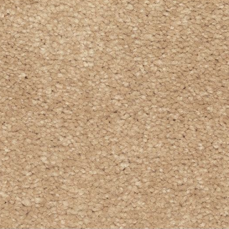 Mohawk Carpet Lakewood Drive I Michigan Mohawk