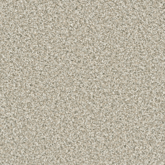 Dreamweaver Carpet Dazzling Seashells DREAMWEAVER