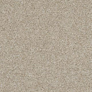 Dreamweaver Carpet Trendsetter II Seashells DREAMWEAVER