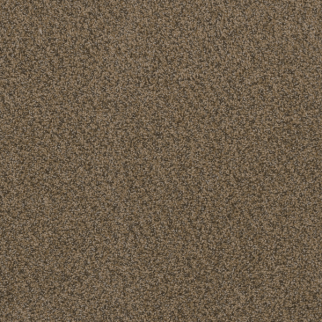 Dreamweaver Carpet Hot Pursuit Fawn DREAMWEAVER