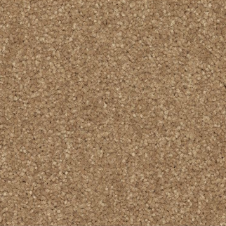 Horizon Carpet Quality Life Halo Mohawk