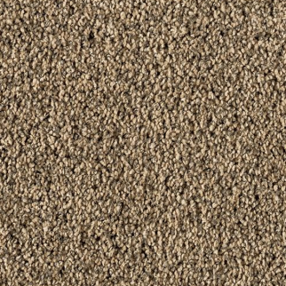 Mohawk Carpet Luxuriant Space Halo Mohawk