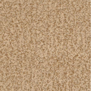 Dixie Home Chromatic Touch Clydesdale