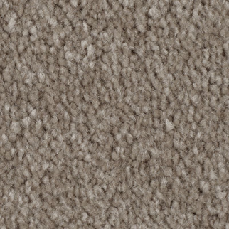 Mohawk Carpet Classical Design III 12' Wool Socks Mohawk