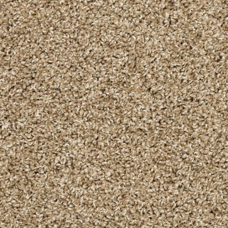 Mohawk Carpet Diffurent Choice II Harmony Mohawk