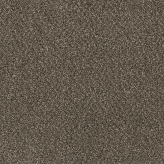 Dreamweaver Carpet Hot Pursuit Ironside DREAMWEAVER