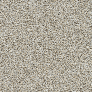 Dreamweaver Carpet Captivating I Iron Gate DREAMWEAVER