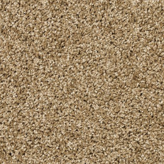 Mohawk Carpet Diffurent Choice I Parchment Mohawk