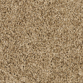 Mohawk Carpet Purrsonality II Parchment Mohawk