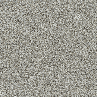 Dreamweaver Carpet Captivating I Gravel Stone DREAMWEAVER