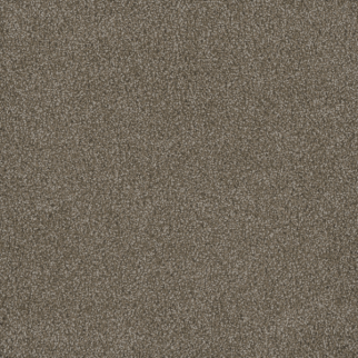 Dreamweaver Carpet Hammond Creek II Harber DREAMWEAVER