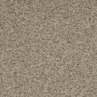Dreamweaver Carpet Astounding I Wishing Well DREAMWEAVER