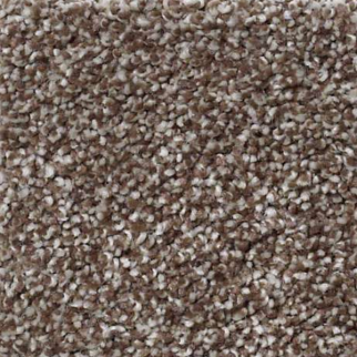 Shaw Floors Always Ready I Cobble Brown SHAW