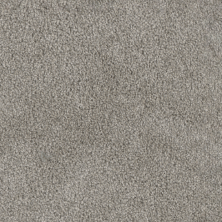 Dreamweaver Carpet Trendsetter II Dove DREAMWEAVER