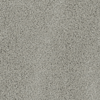 Dreamweaver Carpet Tracker Dove DREAMWEAVER