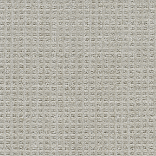 DW Select Carpet Dublin II Cabra DREAMWEAVER