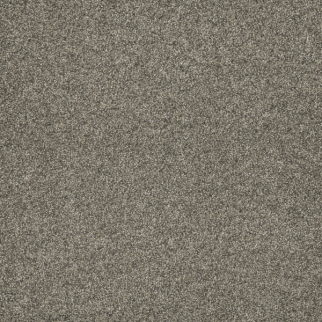 Dreamweaver Carpet Astounding III Baymont DREAMWEAVER