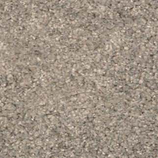 Masland Carpets Opalesque Wenge Masland