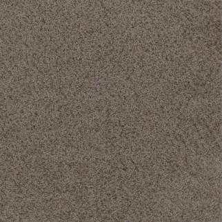 Dreamweaver Carpet Toast Of The Town Rugged Suede DREAMWEAVER