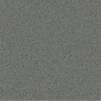 Tarkett Home Carpets Promenade Slate LEXMARK