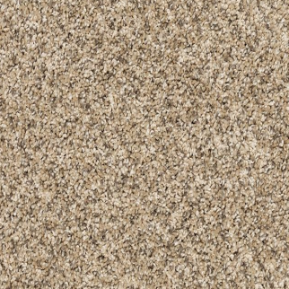Mohawk Carpet Claws And Effect I Bisque Mohawk