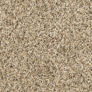 Mohawk Carpet Raise The Woof II Bisque Mohawk