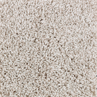 Mohawk Carpet Perfect Attraction Salutation Mohawk
