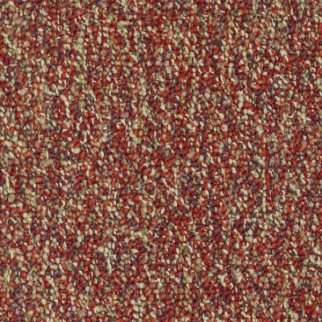 Shaw Floors Invincible 26 Raisinberry SHAW