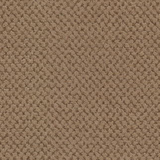 Masland Carpets La Parade Woodsman Masland