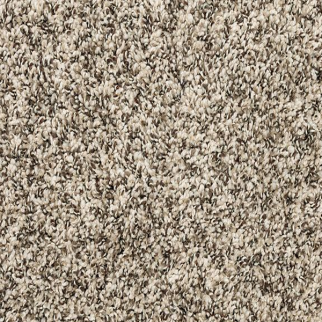 Mohawk Carpet Canine Chic Cascade Mohawk