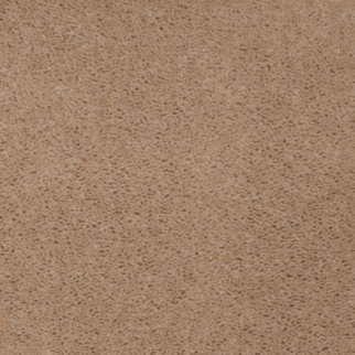 Aladdin Carpet Accelerator Plus Dried Peat Mohawk