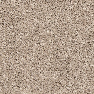 Mohawk Carpet Tectonic Century Blush Mohawk