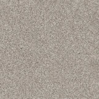 Dreamweaver Carpet Trendsetter II Acadia DREAMWEAVER