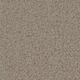 Tarkett Home Carpets Manchester Stable LEXMARK