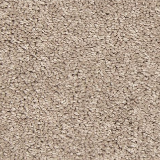 Mohawk Carpet Up The Ante Harmonious Mohawk