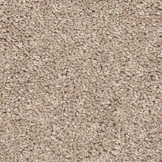 Mohawk Carpet Tectonic Havana Mohawk