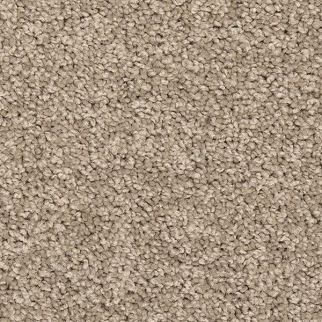 Mohawk Carpet Vitalize I Havana Mohawk