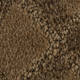 Horizon Carpet Graceful Appeal Msuhroom Mohawk