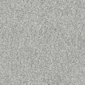 Masland Carpets Boca Raton Persistent Masland