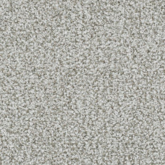 Masland Carpets St Augustine Persistent Masland