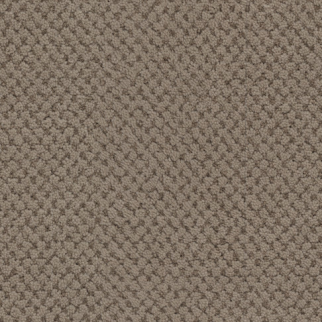Masland Carpets La Parade Walnut Masland