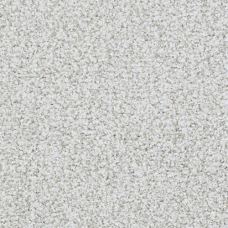 Masland Carpets St Augustine Consistent Masland