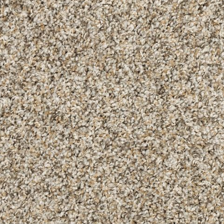 Mohawk Carpet Diffurent Choice I Soapstone Mohawk
