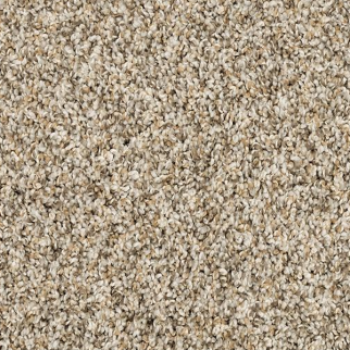 Mohawk Carpet Purrsonality I Soapstone Mohawk