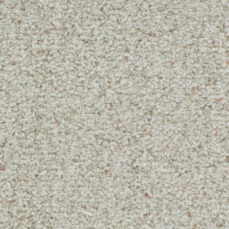 Masland Carpets St Augustine Tenacious Masland
