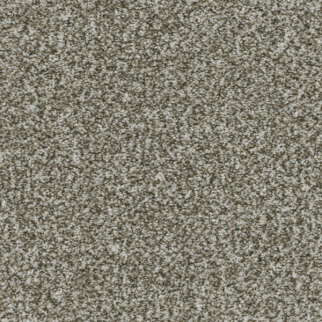 Dreamweaver Carpet Brazen II Clove DREAMWEAVER