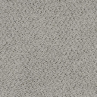 Masland Carpets New Hope Dove Masland