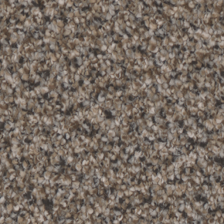 Tarkett Home Carpets Summerland Stately LEXMARK
