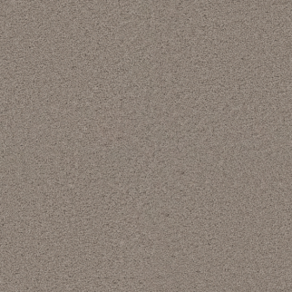 Dreamweaver Carpet Exceptional II Mineral DREAMWEAVER