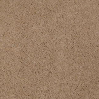 Aladdin Carpet Accelerator Plus Toffee Mohawk